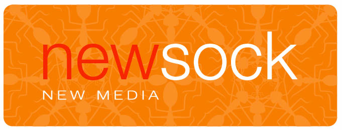 Newsline Report - Contenidos - Damin Kirzner, presidente de New Sock: Hay que experimentar con las nuevas tecnologas