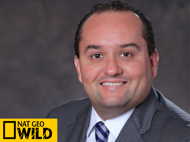 Newsline Report - Plataformas - Nat Geo Wild supera los 31 millones de hogares en Amrica Latina