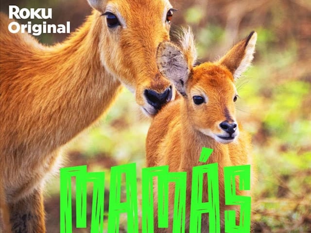 The Roku Channel estrena en Mxico el documental MAMS