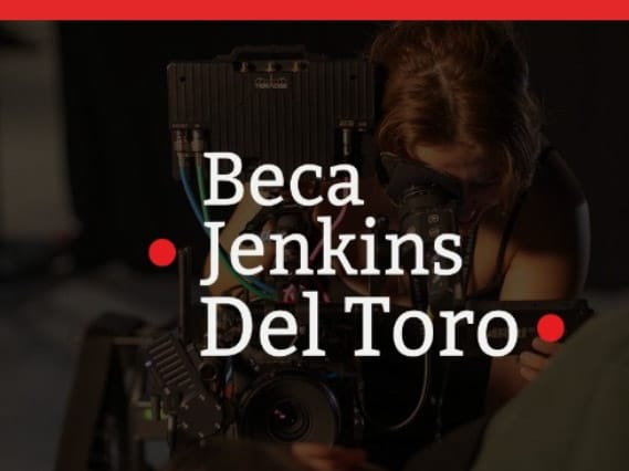 BECA JENKINS DEL TORO 2024 ABRE SU CONVOCATORIA