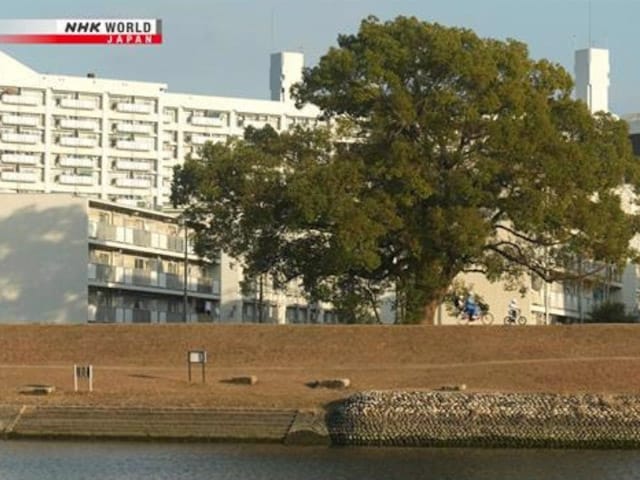 NHK WORLD JAPAN presenta este mes 