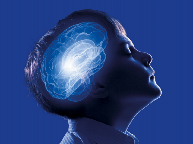 Newsline Report - Contenidos - DW Transtel, documentales de calidad internacional