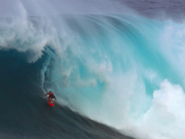 Newsline Report - Cine - Blackmagic Design acompa�a la posproducci�n del documental Life on Waves