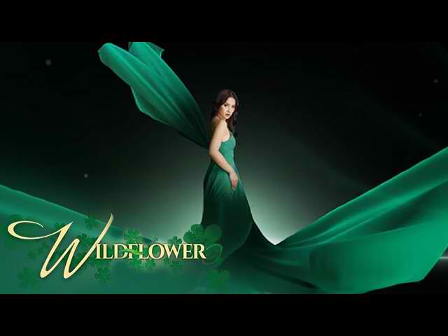 ABS-CBN anuncia la semana final de 'Wildflower'