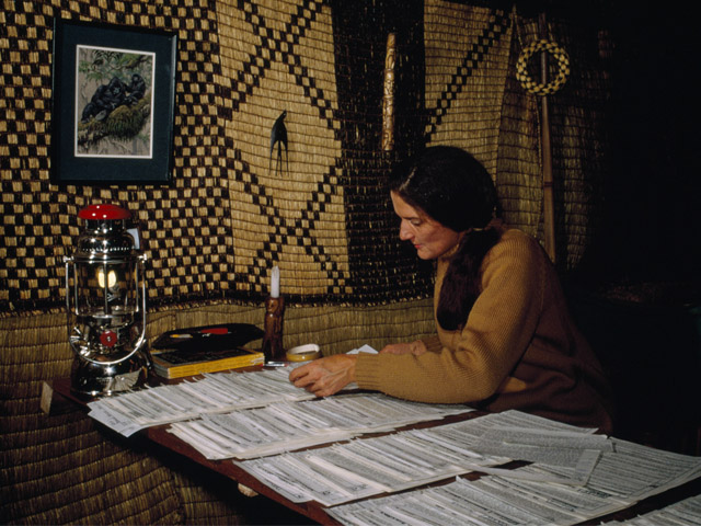 Newsline Report - Plataformas - National Geographic estrena la miniserie Dian Fossey: muerte en la niebla